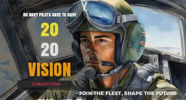 Visual Acuity Standards for Navy Pilots: Myth vs. Reality