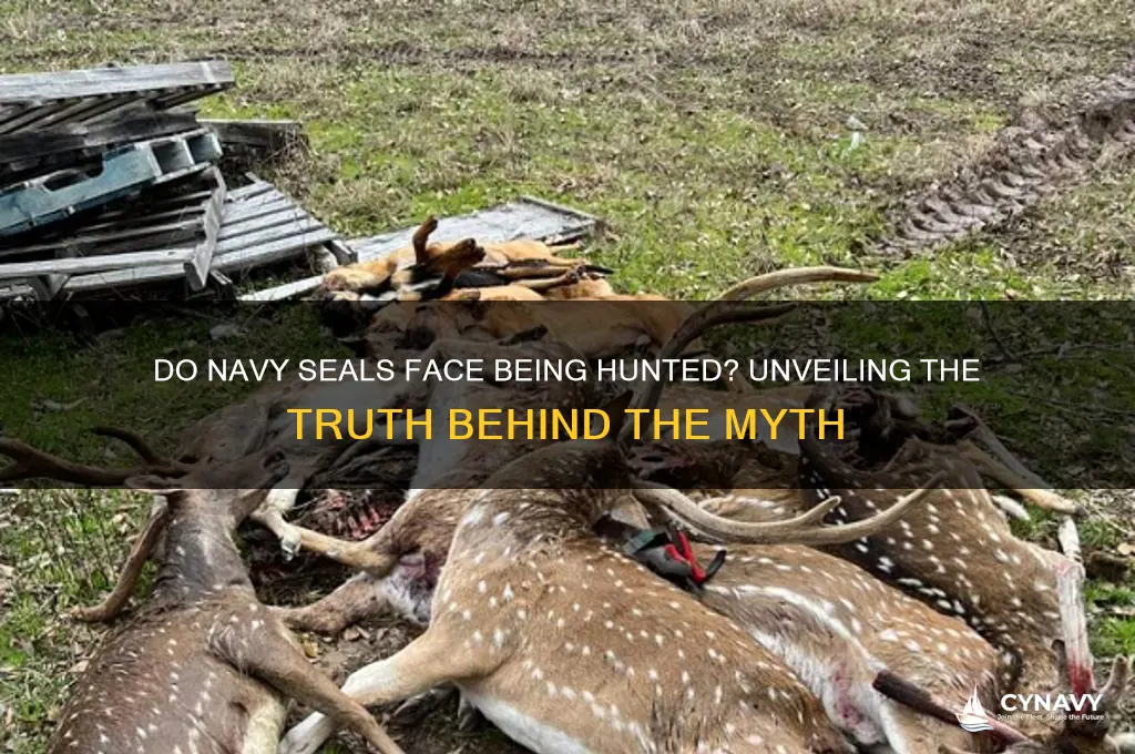 do navy seal get hunted