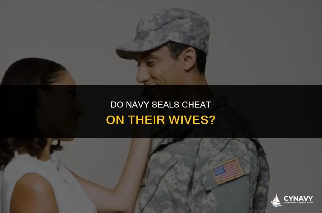 do navy seals cheat on their wives