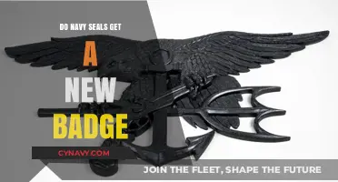 Do Navy SEALs Earn a New Badge After Completing Training?