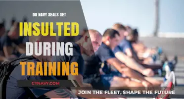 Do Navy SEALs Feel Insulted During Hell Week Training?