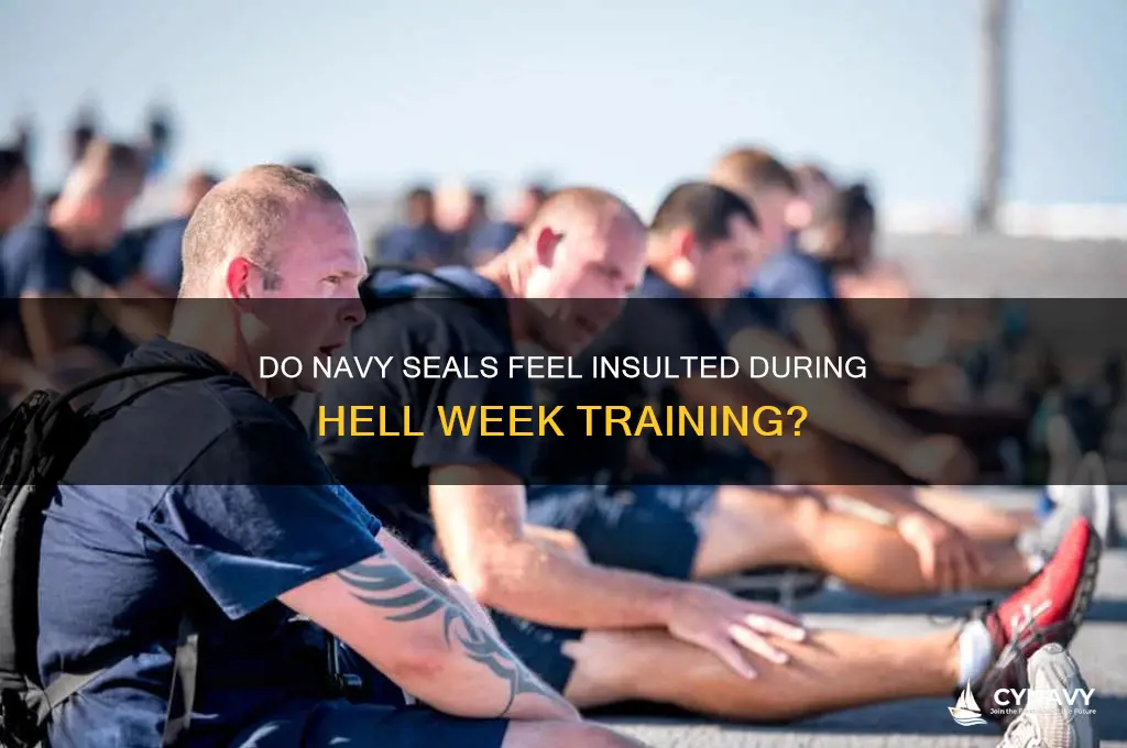 do navy seals get insulted during training