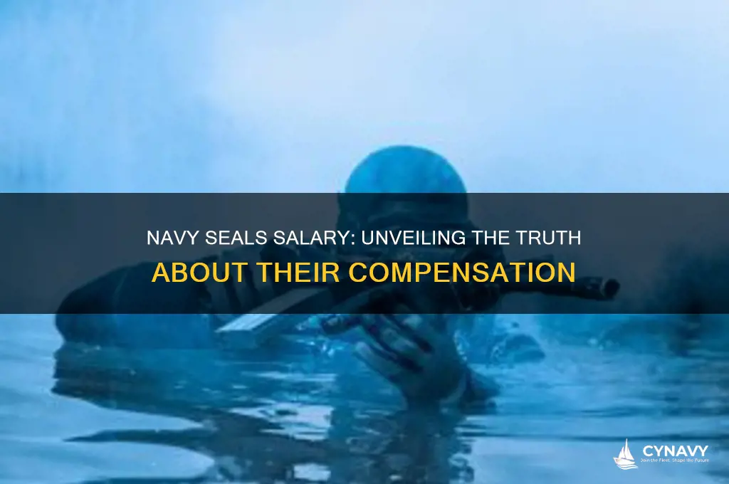 do navy seals get paid alot