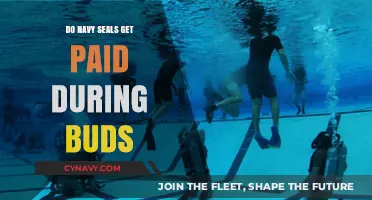 Navy SEALs' BUD/S Pay: Compensation During Training Explained