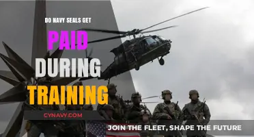 Navy SEALs Pay: Compensation During Rigorous Training Explained