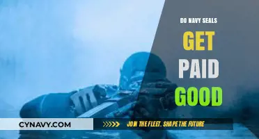 Navy SEALs Compensation: Unveiling the Truth About Their Salaries and Benefits