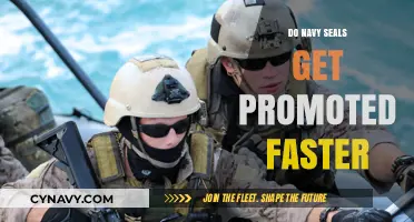 Accelerated Promotions: Do Navy SEALs Climb the Ranks Faster?