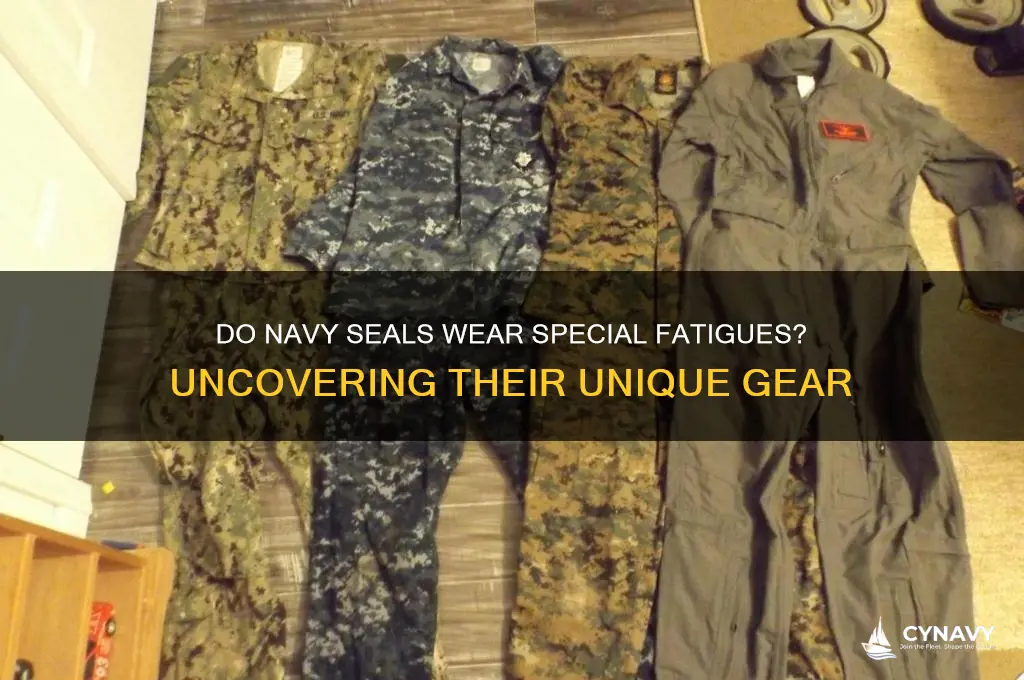 do navy seals get special fatigues