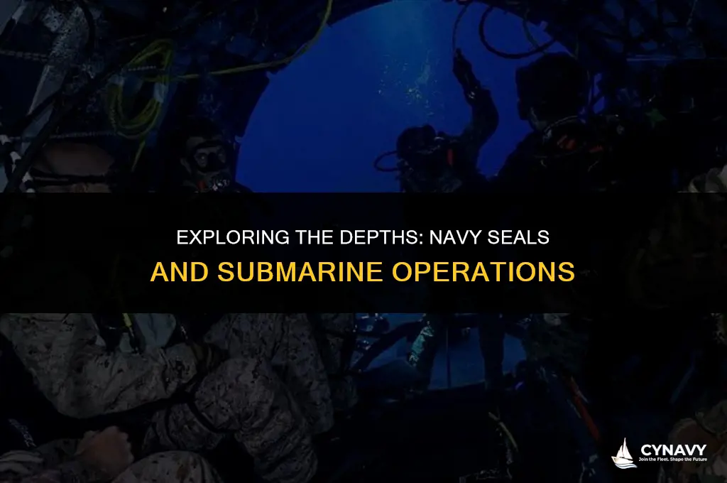 do navy seals go in submarines