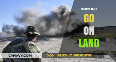 Beyond the Waves: Navy SEALs' Covert Land Operations Revealed