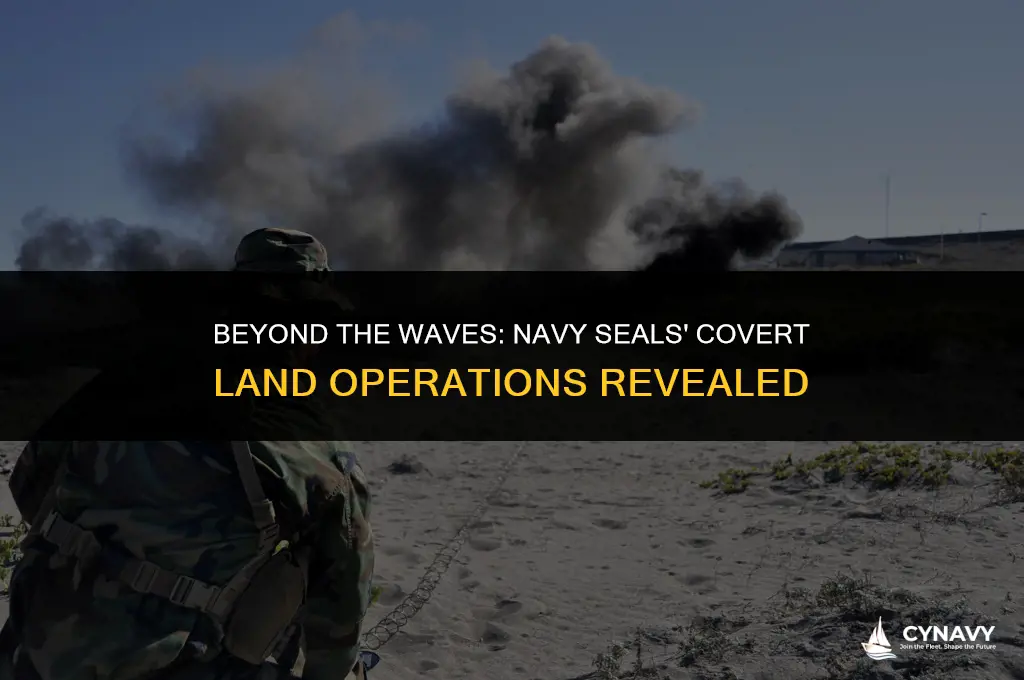 do navy seals go on land