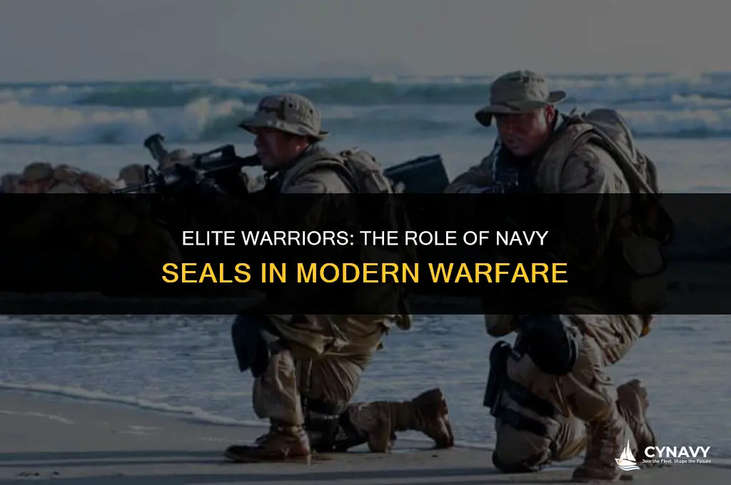 do navy seals go to war