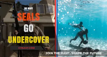 Covert Missions: Do Navy SEALs Operate Undercover?