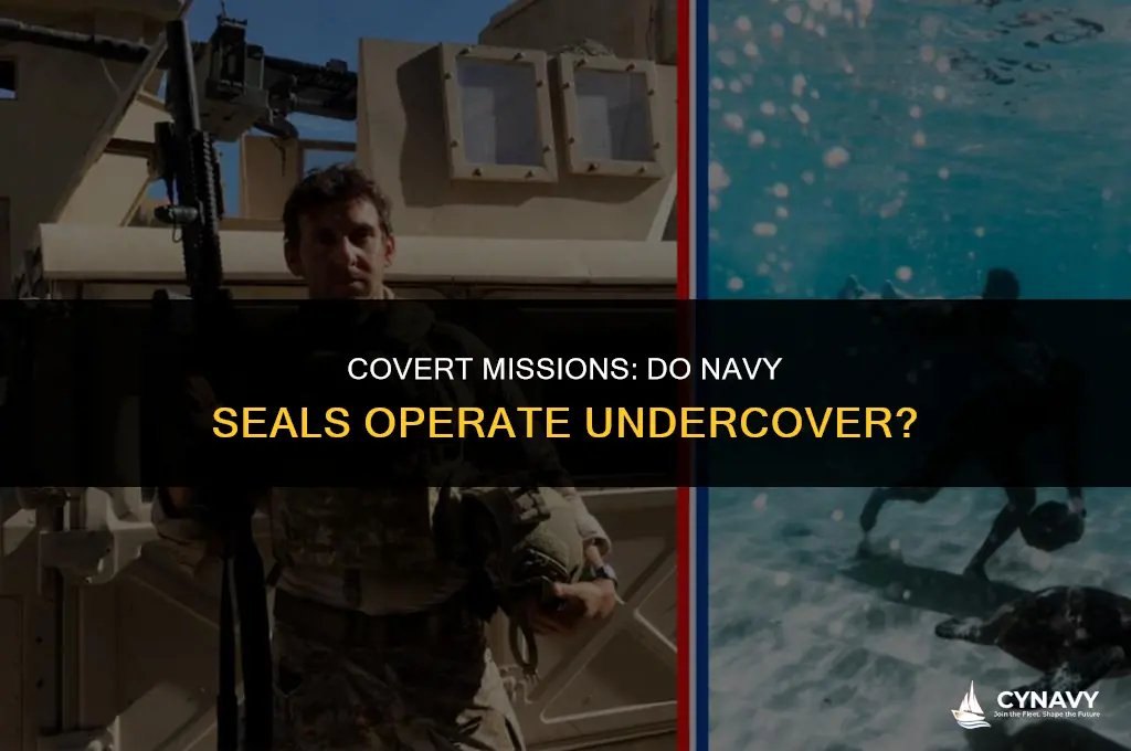 do navy seals go undercover