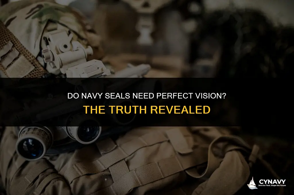 do navy seals need 20 20 vision
