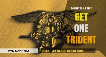 Navy SEALs' Trident: Unraveling the Myth of a Single Award