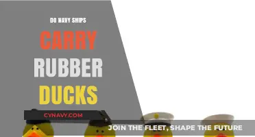 Rubber Ducks Ahoy: Unlikely Stowaways on Navy Vessels?