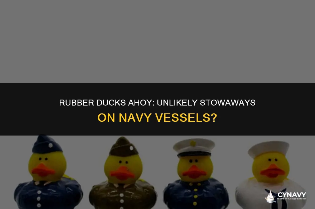 do navy ships carry rubber ducks