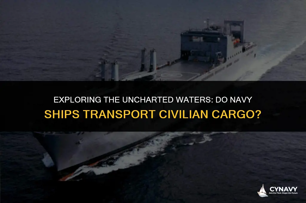 do navy ships ever carry civilian cargo