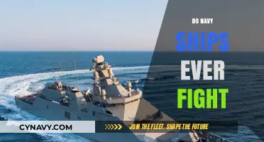 Naval Warfare: A Rare but Deadly Reality
