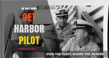 Do Navy Ships Require Harbor Pilots? Exploring Maritime Navigation Practices