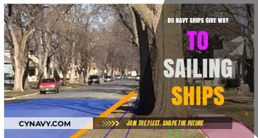 Right of Way at Sea: Do Navy Ships Yield to Sailing Vessels?