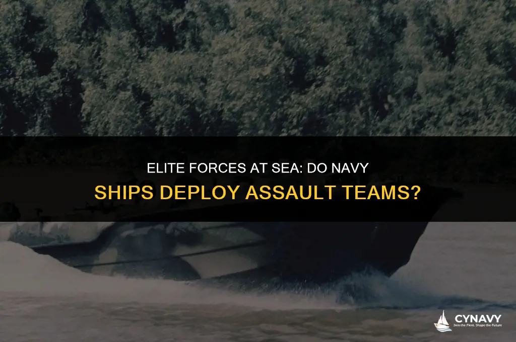 do navy ships have assault teams