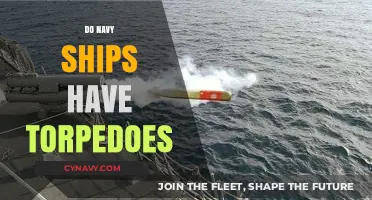 Exploring Naval Arsenal: The Role of Torpedoes on Modern Warships