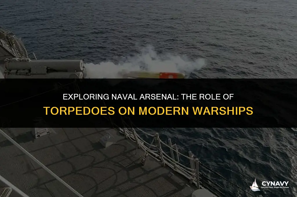 do navy ships have torpedoes