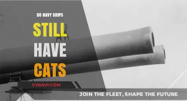 Feline Friends at Sea: The Enduring Legacy of Cats on Navy Ships