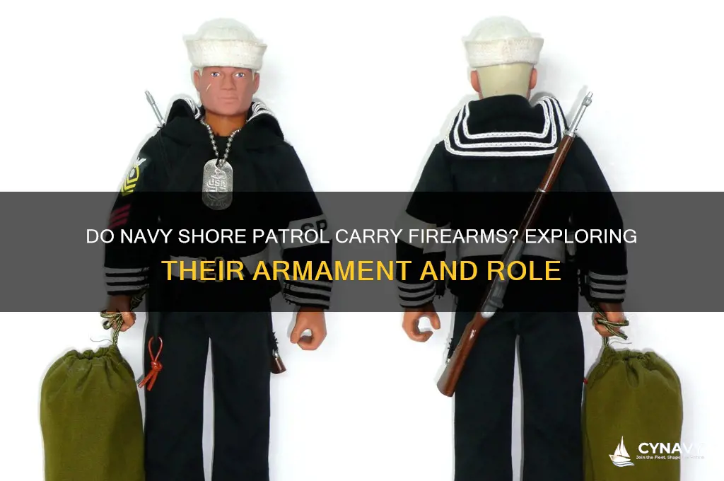 do navy shore petrol get guns