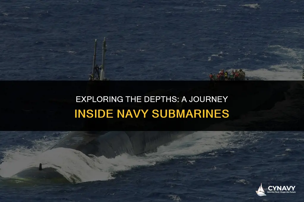 do navy submarines go