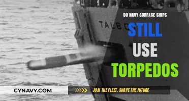 Torpedoes in Modern Naval Warfare: A Closer Look at Surface Ships' Arsenal