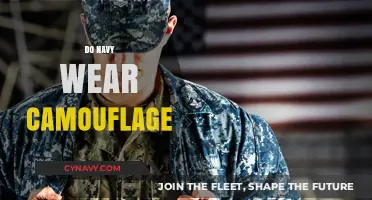 Blending In or Standing Out: The Navy's Approach to Camouflage