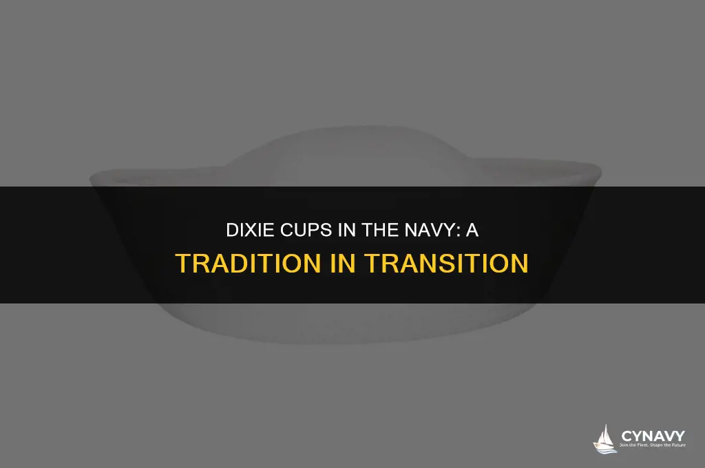 do navy wear dixie cup anymore