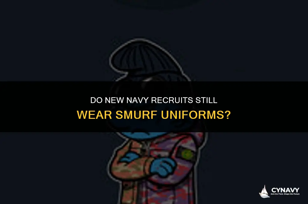 do new navy recruits still wear smurfs