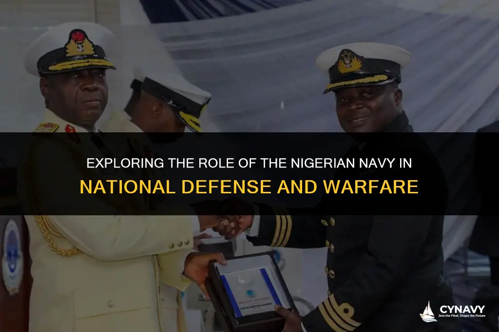 do nigeria navy go to war