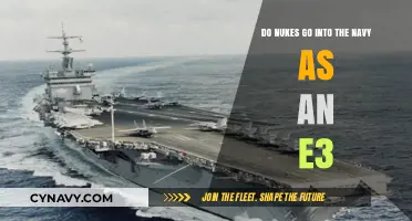 Exploring Naval Careers: The Role of Nukes at the E3 Level