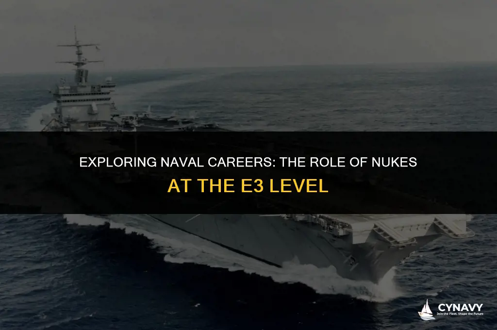 do nukes go into the navy as an e3