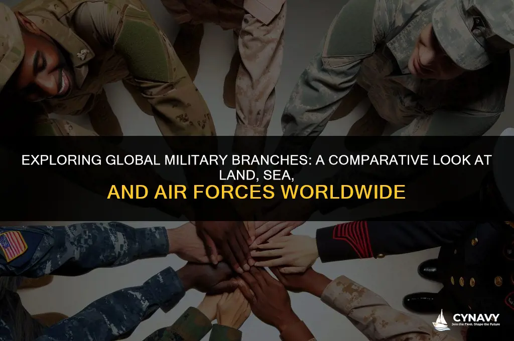do other countries have marines army navy ect