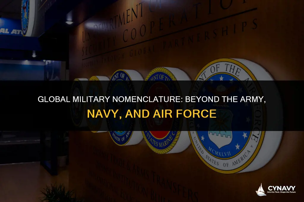 do other countries use word army navy air force