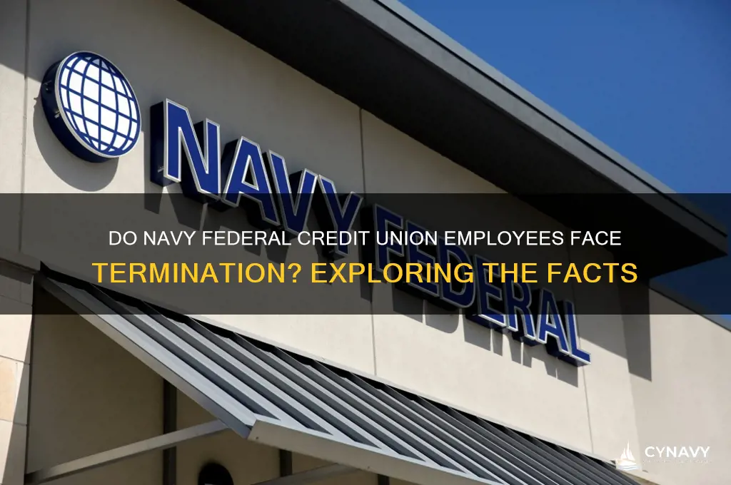do people get fired from navy federal credit union
