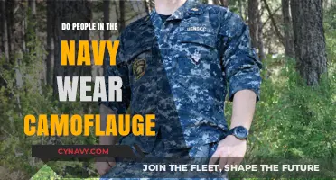 Blending In at Sea: The Navy's Approach to Camouflage