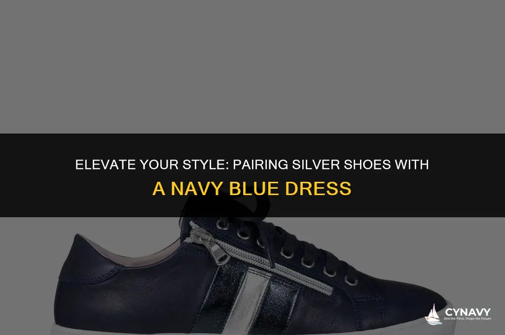 do silver shoes go with navy blue dress