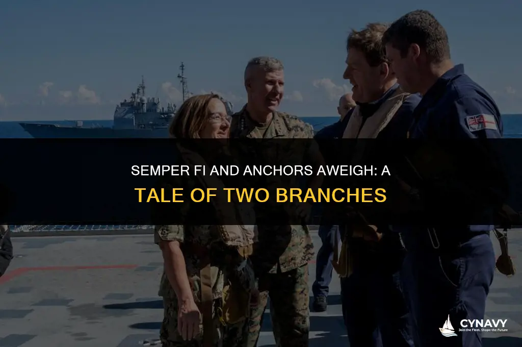 do the marines and the navy like each other
