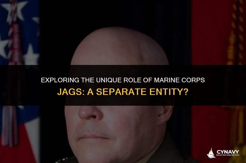 do the marines have s jag seperate from the navy