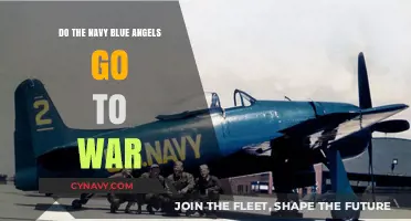 Do the Navy Blue Angels Go to War: A Deep Dive