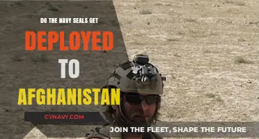 Navy SEALs in Afghanistan: Deployment Insights and Realities