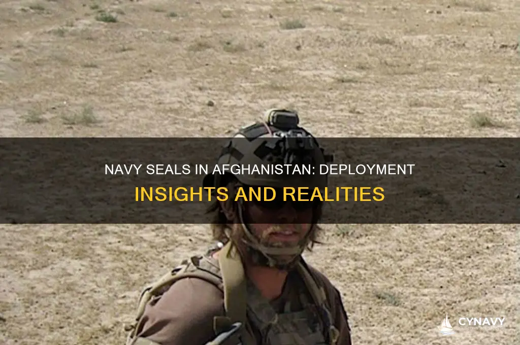 do the navy seals get deployed to afghanistan