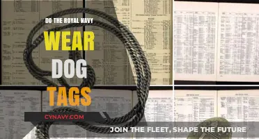 Do Royal Navy Personnel Wear Dog Tags? A Definitive Answer